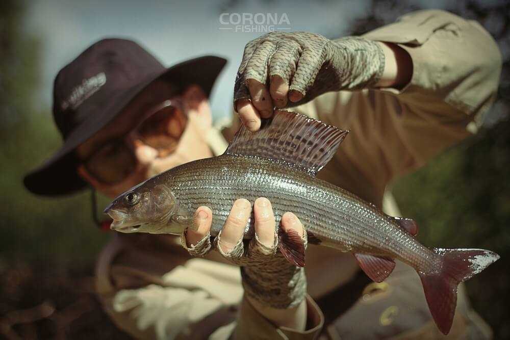 wędkarstwo skandynawia